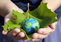 Featured image for Beauty and Sustainability: Eco-Friendly Products and Practices