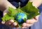 Featured image for Beauty and Sustainability: Eco-Friendly Products and Practices