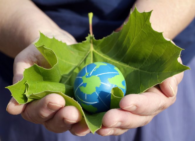 Featured image for Beauty and Sustainability: Eco-Friendly Products and Practices