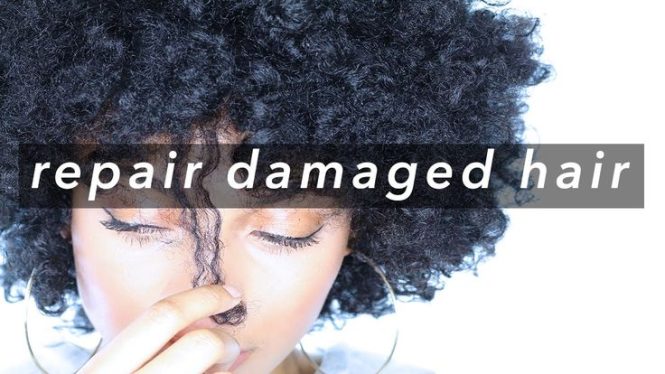 Featured image for Hair Care for Damaged Hair: How to Repair and Restore