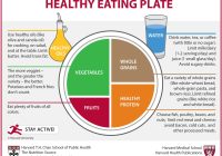 Featured image for The Ultimate Guide to Healthy Eating: Your Nutrition Plan