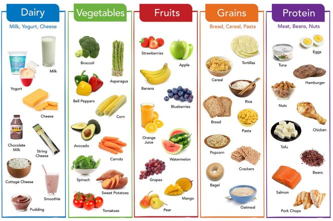 Featured image for Nutrition for Different Age Groups: What You Need to Know