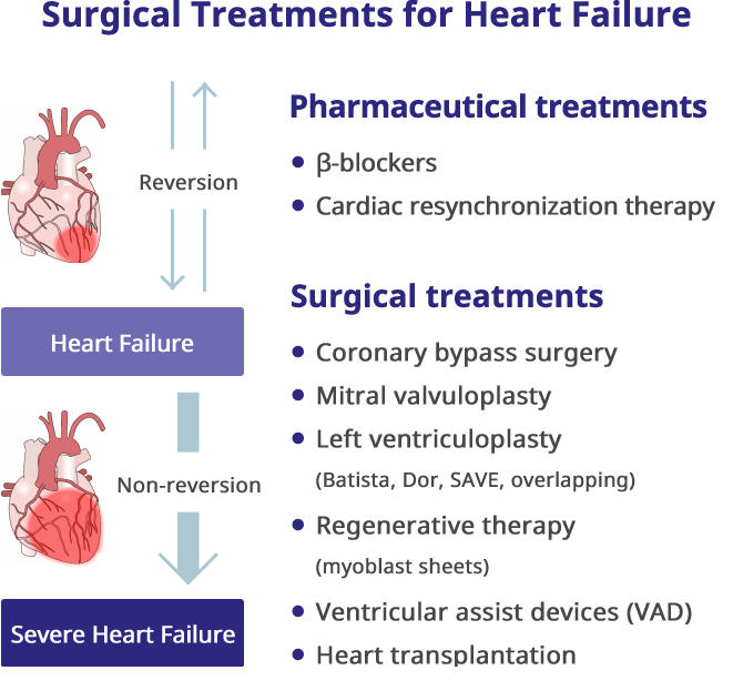 Featured image for Heart Disease Treatments: From Medication to Minimally Invasive Surgery.