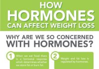Featured image for Weight Loss and Hormones: Understanding the Connection for Success.