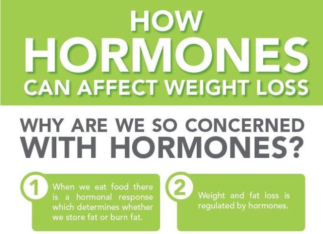 Featured image for Weight Loss and Hormones: Understanding the Connection for Success.