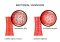 Featured image for Vaginal Health: Common Infections and Maintaining Balance.
